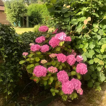 Ancienne Ferme Percheronne Du 18eme Siecle Nyaraló