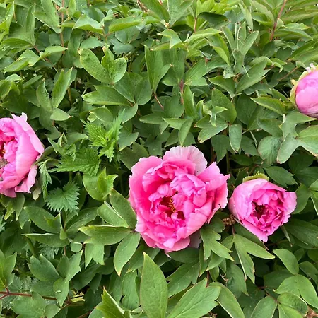 Ancienne Ferme Percheronne Du 18eme Siecle Courgeon