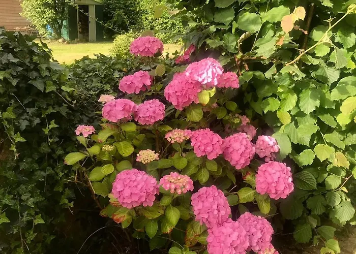 Ancienne Ferme Percheronne Du 18eme Siecle Feriehus